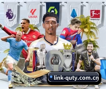 link-quty.com.cn APP